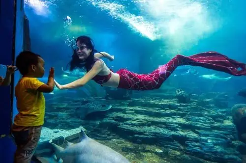 身份证上是19801998年的荆门人注意了再忙也要看一下