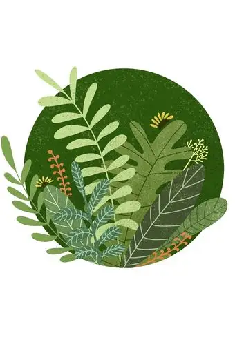 丰富的植物插画习作