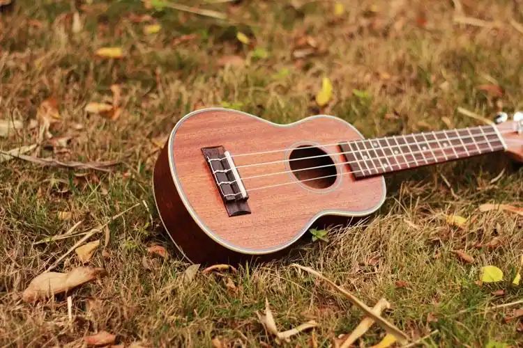 供ukulele 乌克丽丽 尤克里里小吉他夏威夷四弦小吉他 oem贴牌