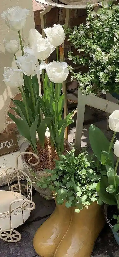 超nice的高级感ins风壁纸