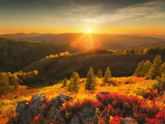山,树,太阳光线,强光,日出,自然景观