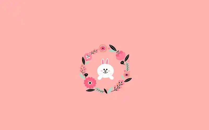 line布朗熊可妮兔小黄鸡可爱卡通简约宽屏壁纸壁纸图片