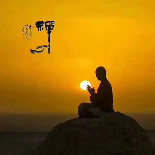 我一直在追索人心的深度 ,却看到了人心的浅薄.