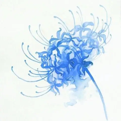 蓝色彼岸花【蓝风原创】