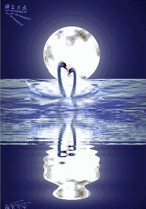 300_430竖版 竖屏gif 动态图 动图