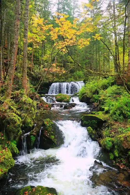用不同的绿色,调配最清爽的夏天~_吉林_大自然_夏日
