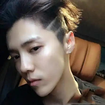 鹿晗刀疤头发型 男明星雕刻刀疤头发型