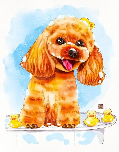 水彩萌宠临摹30小泰迪0298