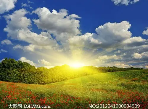 蓝天白云下的草原日出摄影图片