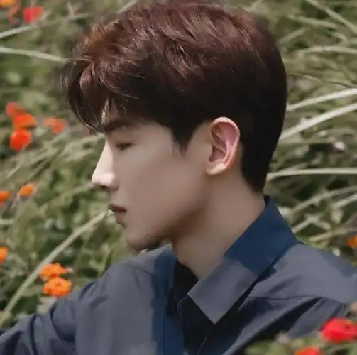 微信头像白敬亭