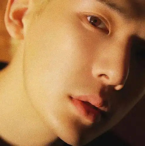 微信头像王安宇