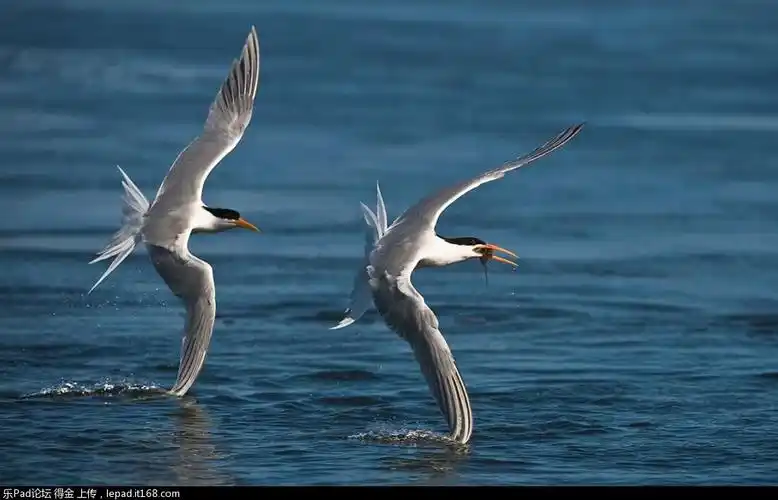 平板电脑精选壁纸之自然风光系列二