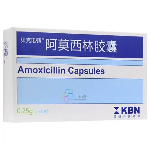 贝克诺顿 阿莫西林胶囊 0.25g*10s*2板