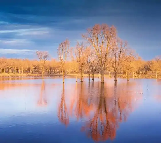 八四届双滘中学三3班同学录 生活照 宏力编辑