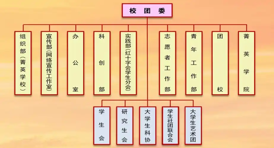 江苏大学团委框架图