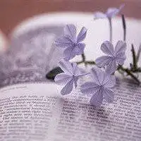 淡雅头像风景图片_微信头像图片大全