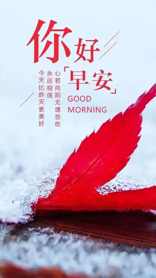 2020早安励志说说图片,致2020全新的自己