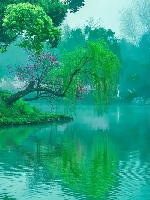 我在这里遇见了江南绝美的春天