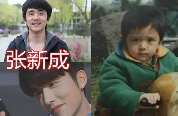 张新成1995年出生,今年26岁,身高180cm.