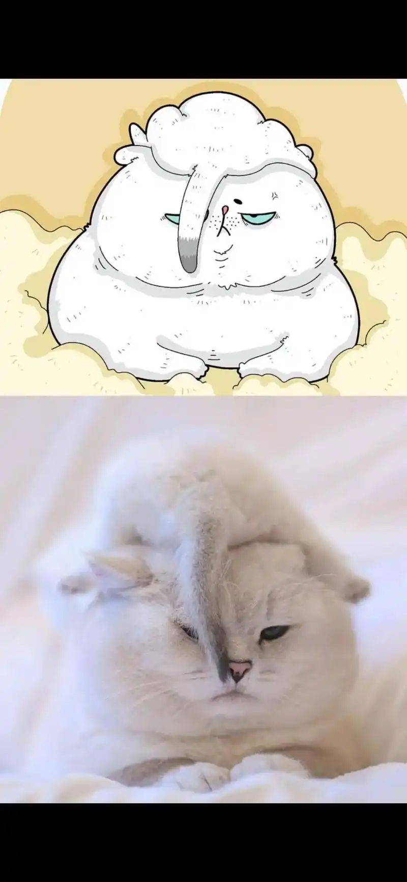 可可爱爱奇奇怪怪的猫咪分享给你,艺术源于现实!漫画猫咪, # - 抖音