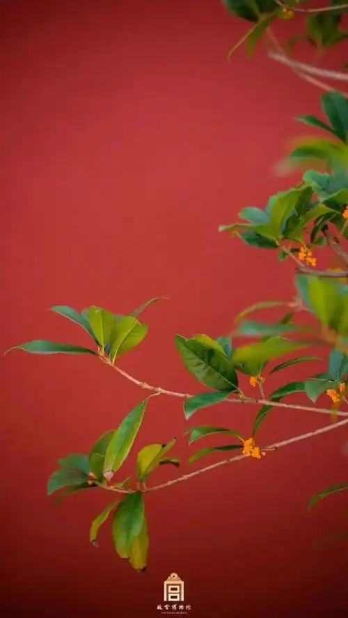 最美中国红国庆版故宫壁纸来了