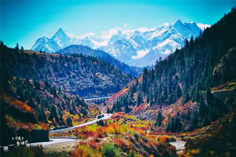 承认吧2021年你根本不敢一个人去旅行