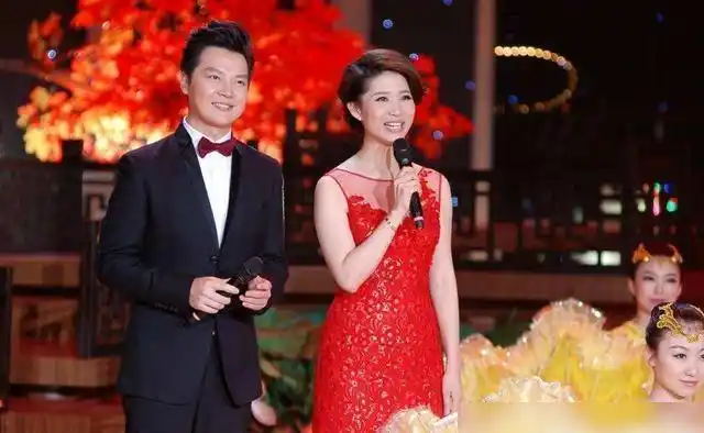 央视新一哥任鲁豫神秘富二代妻子身价上亿儿子成他的骄傲