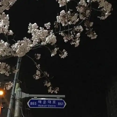 ins超火背景,ins超火背景图小熊(高级ins风背景图)