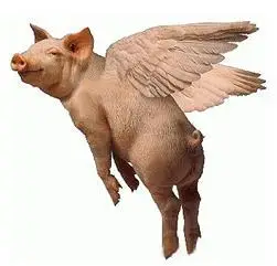 会飞的猪叫什么?