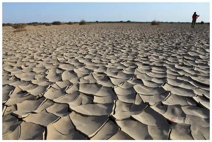 穿越罗布泊之一:从营盘古城到老开屏