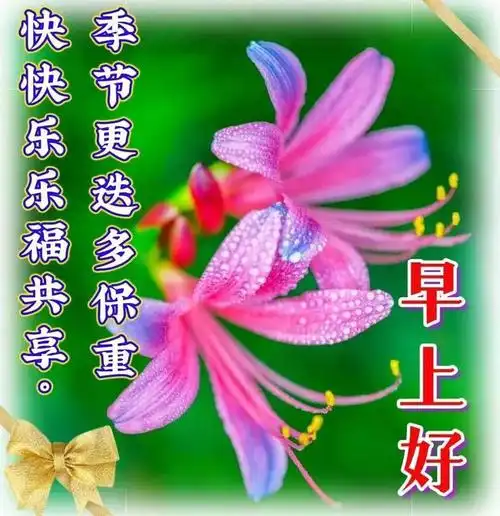 早晨好幸福暖心的问候图片祝福语|快乐|早安|清晨|无忧|喜剧片|波士