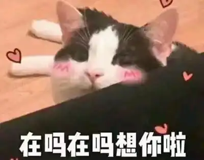 表达想女友的表情包,撩女朋友就靠它了第1张