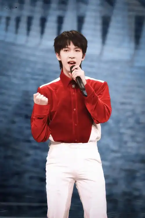 贺峻霖北京台春晚##贺峻霖 虎迎锦绣吉星照