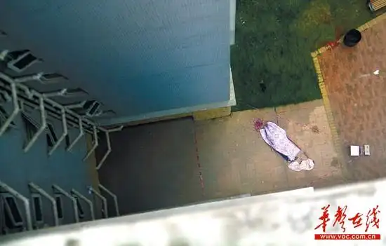 小区桂苑6栋,陈敢给未婚妻发完最后一条短信,从自家12楼的天台跳下