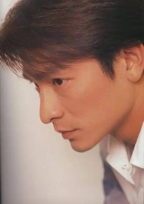 刘德华:北京一夜,江湖地位"飙升",人情冷暖尽显_王晶