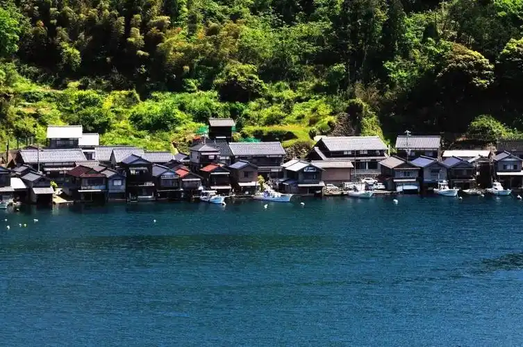 日本最"变态"小镇,70%以上是65岁老人,却靠卖树叶创造年收入千万神话!