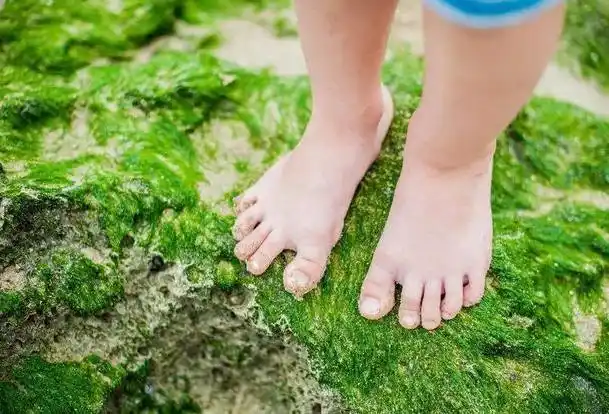 日本"赤足教育"火了,光脚与穿鞋走路的孩子,10年后差距明显