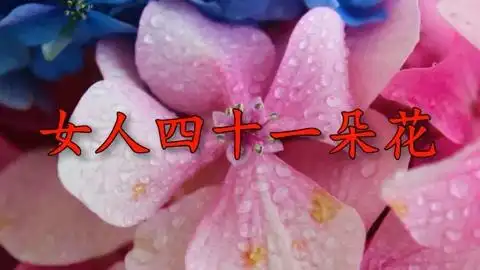 [音乐]爆火网络!《女人四十一朵花》歌声婉转动听,声动梁尘