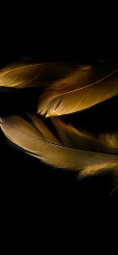 华为mate20rs保时捷版壁纸下载高端大气