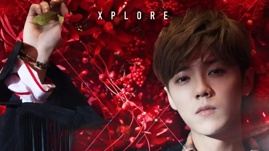 帅哥明星鹿晗高清桌面壁纸