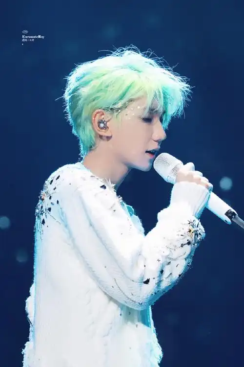 王源客厅狂欢巡演##王源染了绿发