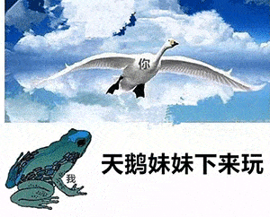 乱七八糟的表情包_天鹅