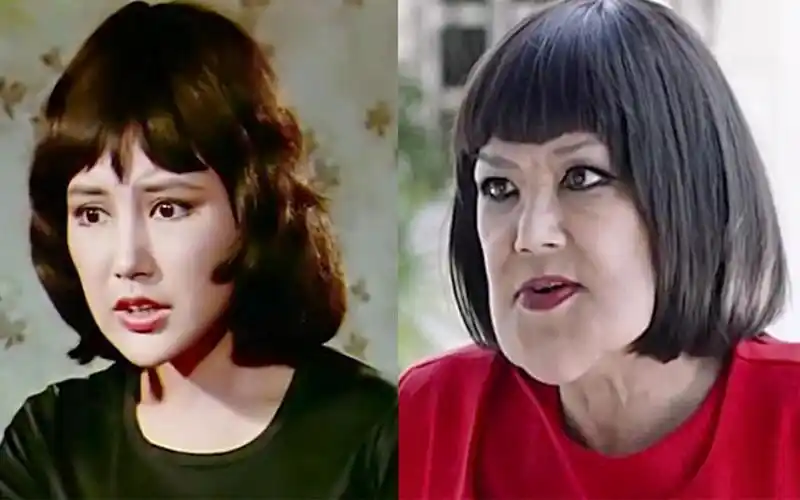 22位港台佳人今昔对比,温碧霞风韵犹在,邵音音早已面目全非