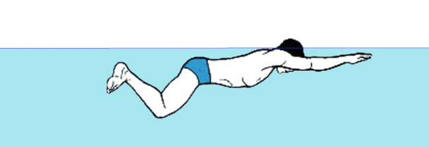 蛙泳的正确姿势是怎样的?