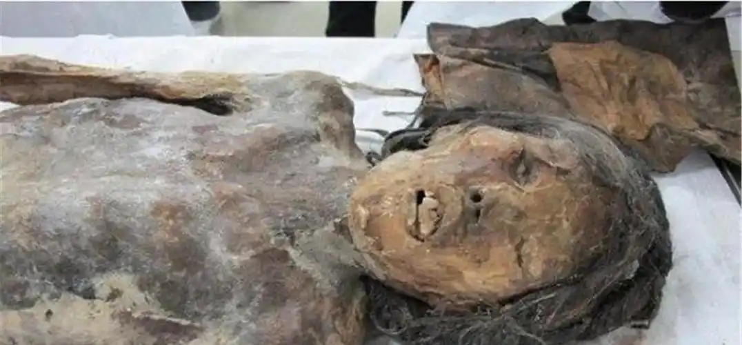 村民修路挖出棺材,里面躺着张牙舞爪的女尸,双腿间有黑色物体!