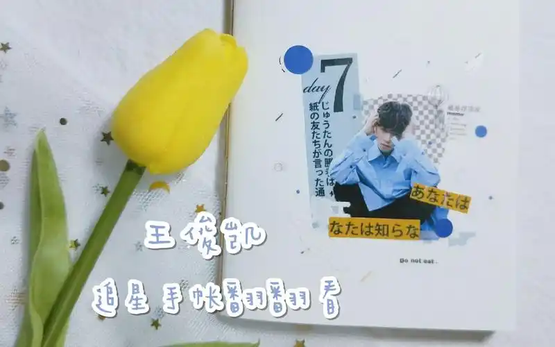 【王俊凯】第三本追星手帐翻翻看