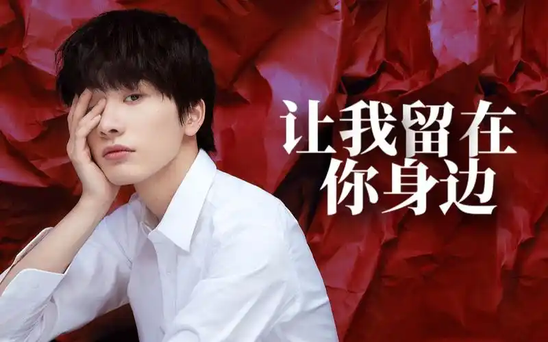 连淮伟青春有你让我留在你身边