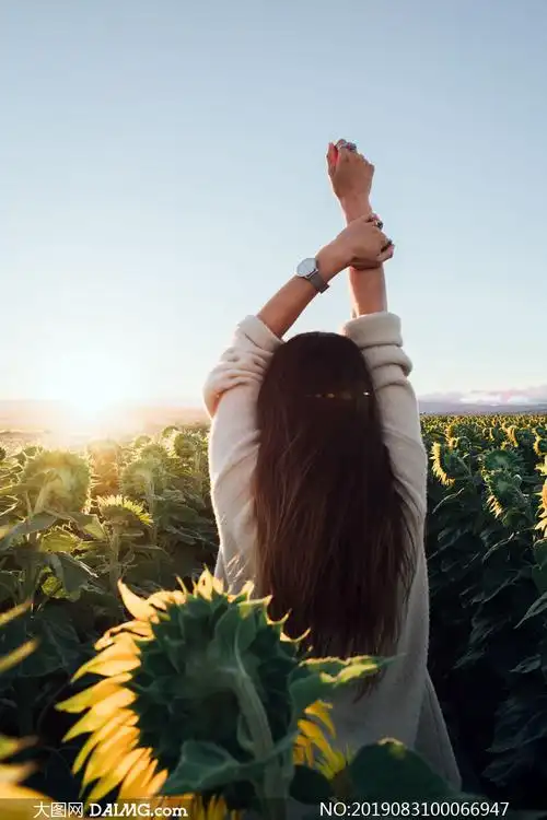 向日葵地中举手的美女背影摄影图片_大图网图片素材