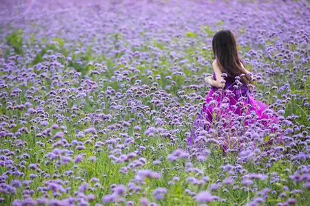花海赏花摄影图配图拍摄儿童户外奔跑玩耍背影沙滩女孩夕阳女孩沙滩
