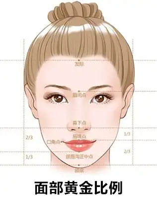 面型轮廓三庭五眼及"四高三低"黄金比例原则,打造适合你的下巴.